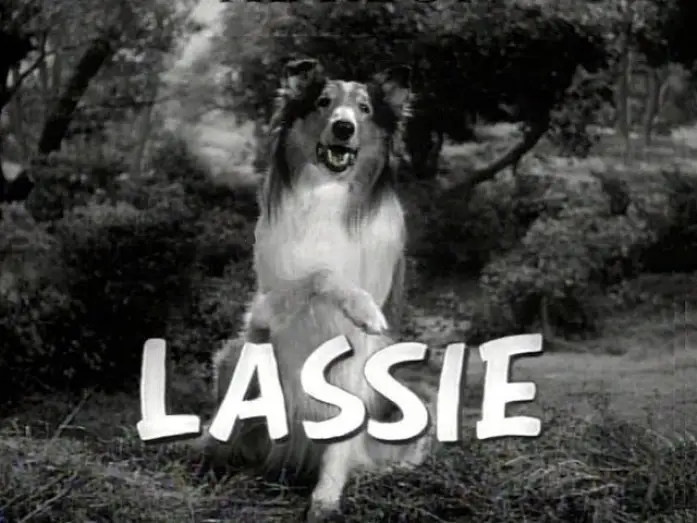 Видео к сериалу Лесси — Lassie  1954 - 1973 Opening and Closing Theme (With the Lone Ranger Snippet)