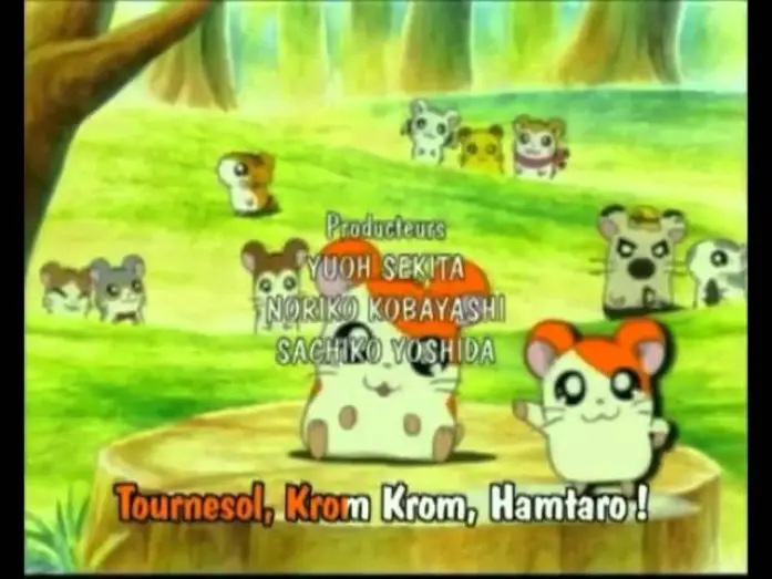 Видео к сериалу Хамтаро — Hamtaro Génériques début et fin français