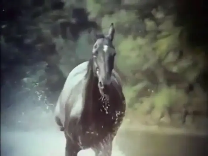 Видео к сериалу The Adventures of Black Beauty — The Adventures of Black Beauty Opening and Closing Theme 1972 - 1974