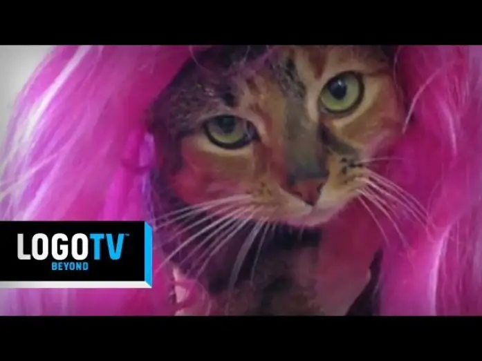 Видео к сериалу Королевские гонки РуПола — RuPaul's Drag Race Season 6 -  The Wait Is Over Kittens! - Logo TV