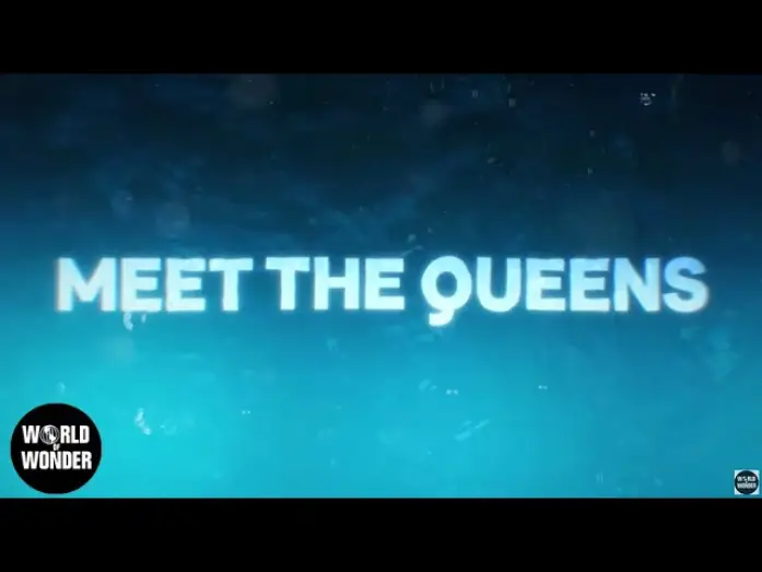 Видео к сериалу Королевские гонки РуПола — Meet the Queens of RuPaul's Drag Race Season 17 👑