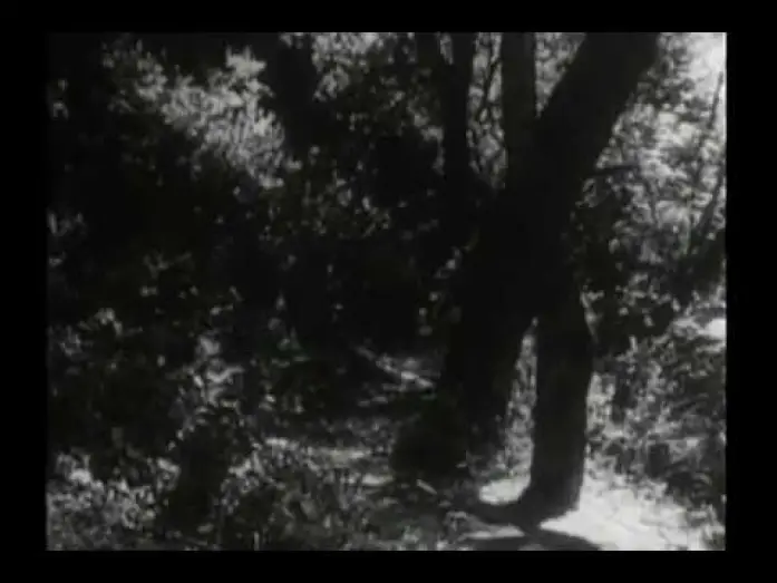 Видео к сериалу Дэниэл Бун — Original Daniel Boone Opening