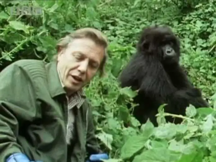 Видео к сериалу Жизнь на Земле — Sir David Attenborough - The story behind Life on Earth - BBC