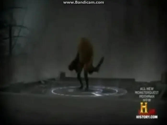 Видео к сериалу Охотники за монстрами — MonsterQuest Mothman Description