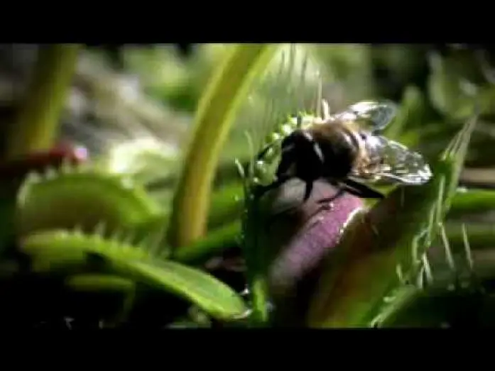 Видео к сериалу Жизнь — Life - BBC 2009 Trailer - Documentary