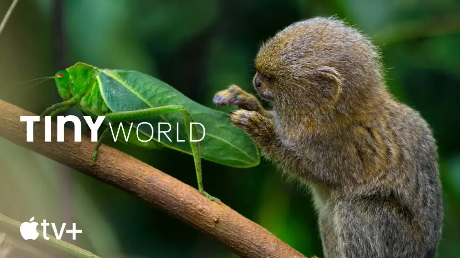 Видео к сериалу Крошечный мир — Bande-annonce officielle [VOSTFR]