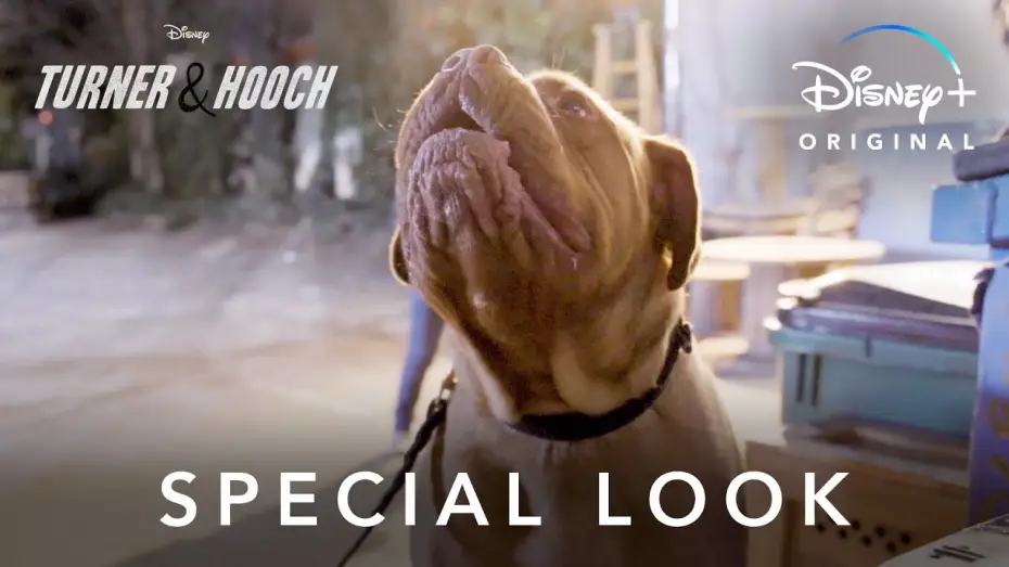 Видео к сериалу Тёрнер и Хуч — Special Look | Turner & Hooch | Disney+