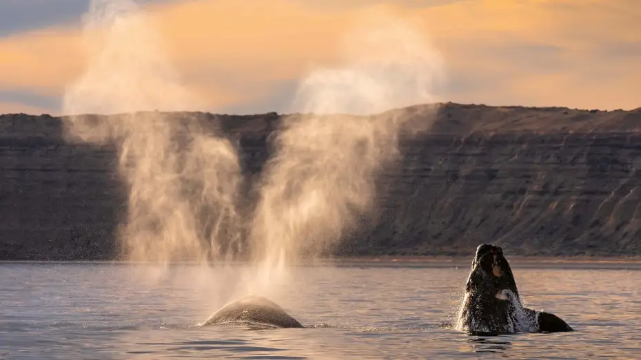 Видео к сериалу Планета Земля III — 15 Minutes of Relaxing Footage from Planet Earth III | Planet Earth III