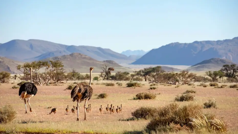 Видео к сериалу Планета Земля III — Sir David Attenborough on the Planet Earth series | Planet Earth III