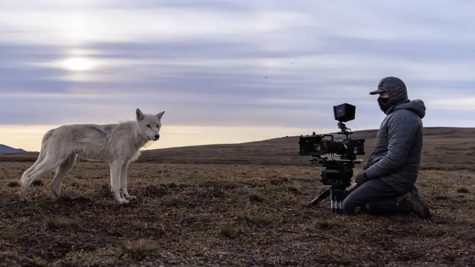 Видео к сериалу Планета Земля III — Filming a Pack of Arctic Wolves | Planet Earth III Behind The Scenes