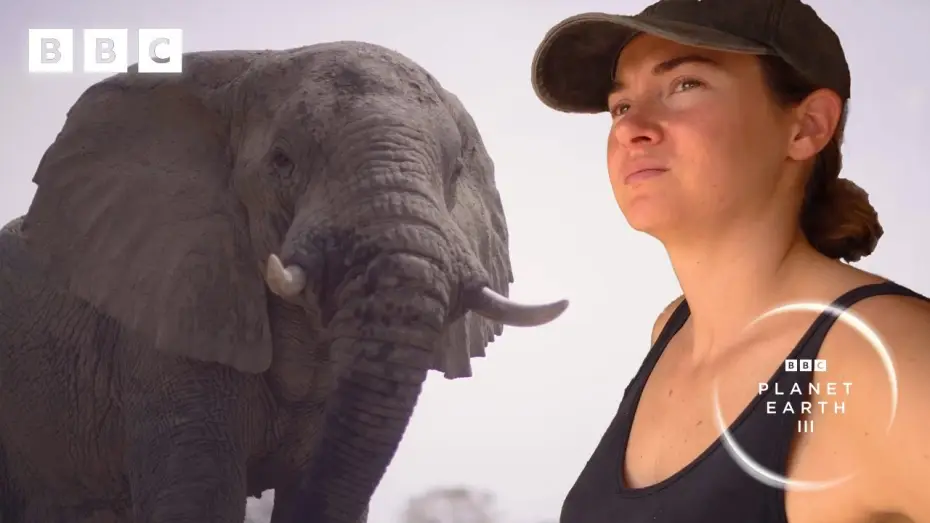 Видео к сериалу Планета Земля III — Elephants saved from poaching learn to trust again | Planet Earth III – Behind the scenes