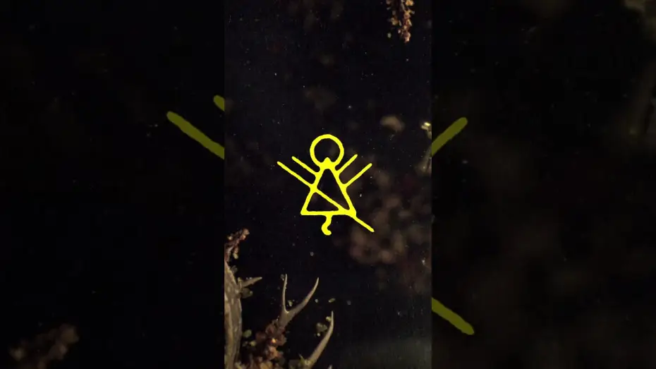 Видео к сериалу Шершни — The Wilderness rewards you 4 your devotion.