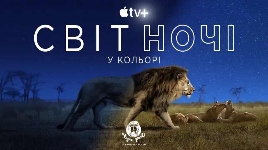 Видео к сериалу Земля ночью в цвете — Світ ночі у кольорі / Earth at Night in Color - трейлер до док. серіалу