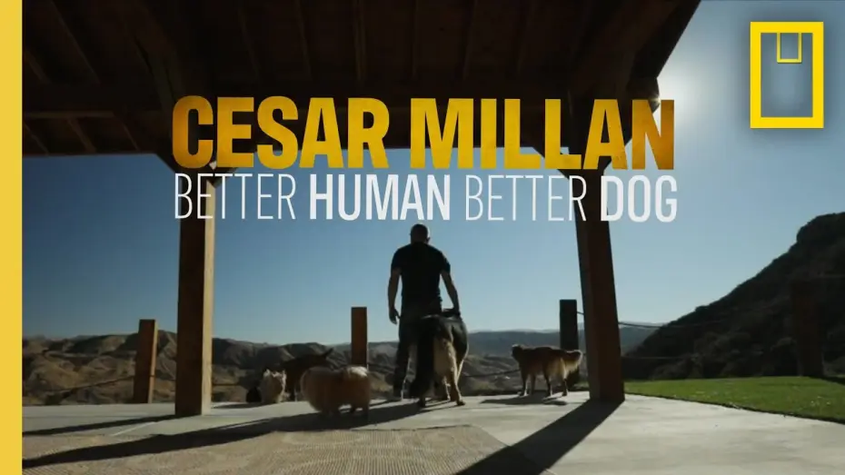 Видео к сериалу Cesar Millan: Better Human, Better Dog — Better Human, Better Dog | National Geographic