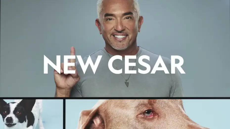 Видео к сериалу Cesar Millan: Better Human, Better Dog — Season 2 Promo