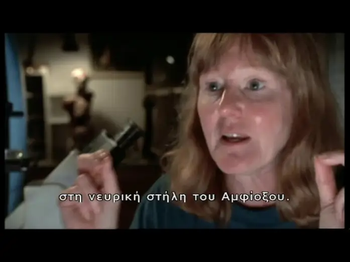 Видео к сериалу Форма жизни — The Shape Of Life: Bones, Brawn and Brains (2001)