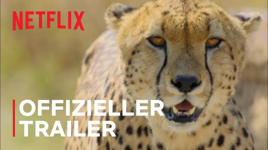 Видео к сериалу Удивительные животные — Das Tier | Offizieller Trailer | Netflix
