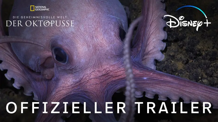 Видео к сериалу Секреты осьминога — Offizieller Trailer (OmdU)