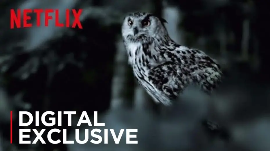 Видео к сериалу Soupçons — The Staircase | The Owl Theory | Netflix