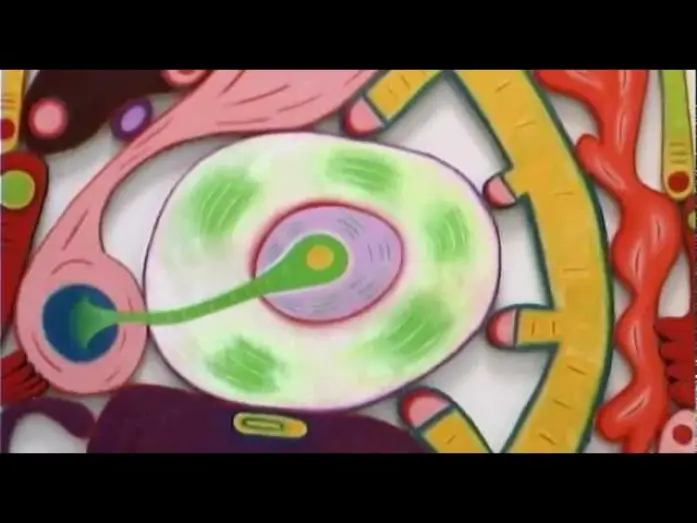 Видео к сериалу Искусство в XXI веке — Сезон 2 — Trailer: Season 2 of "Art in the Twenty-First Century" (2003) | Art21