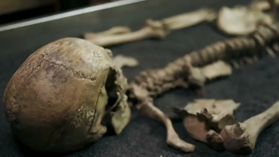 Видео к сериалу Люси Уорсли расследует — Lucy Worsley Investigates - Preview