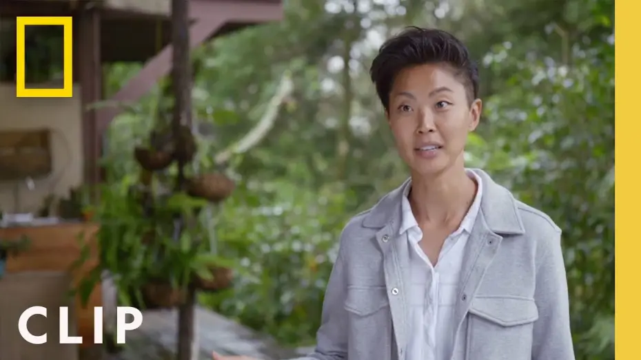 Видео к сериалу Рестораны на краю света — Would you go to a restaurant in the rainforest? | Restaurants at the End of the World