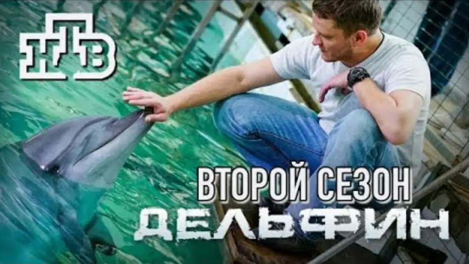 Видео к сериалу Дельфин — Трейлер сериала "Дельфин 2" [2022]