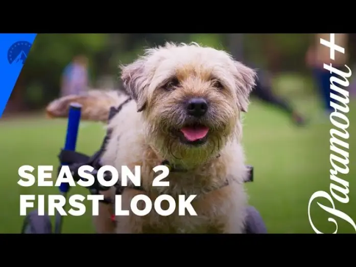 Видео к сериалу Колин из бухгалтерии — Season 2 US First Look
