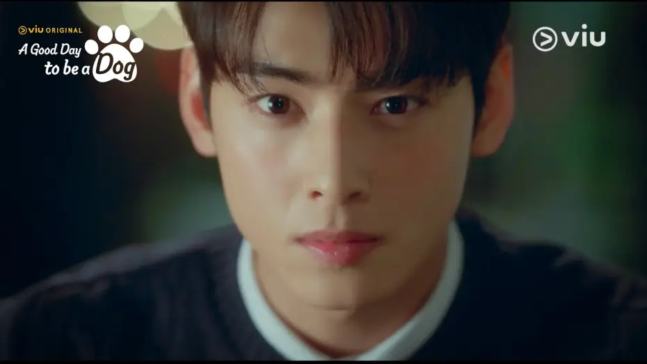 Видео к сериалу Хороший день, чтобы стать собакой — Teaser 2: Cha Eun Woo's Paw-dorable Secret! [ENG SUB]