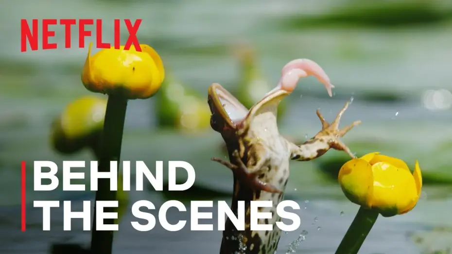 Видео к сериалу Наш живой мир — Мини-сериал — Shooting Frogs