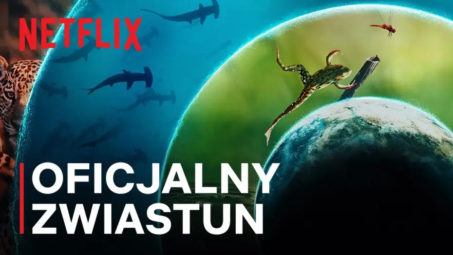 Видео к сериалу Наш живой мир — Oficjalny zwiastun [Napisy]