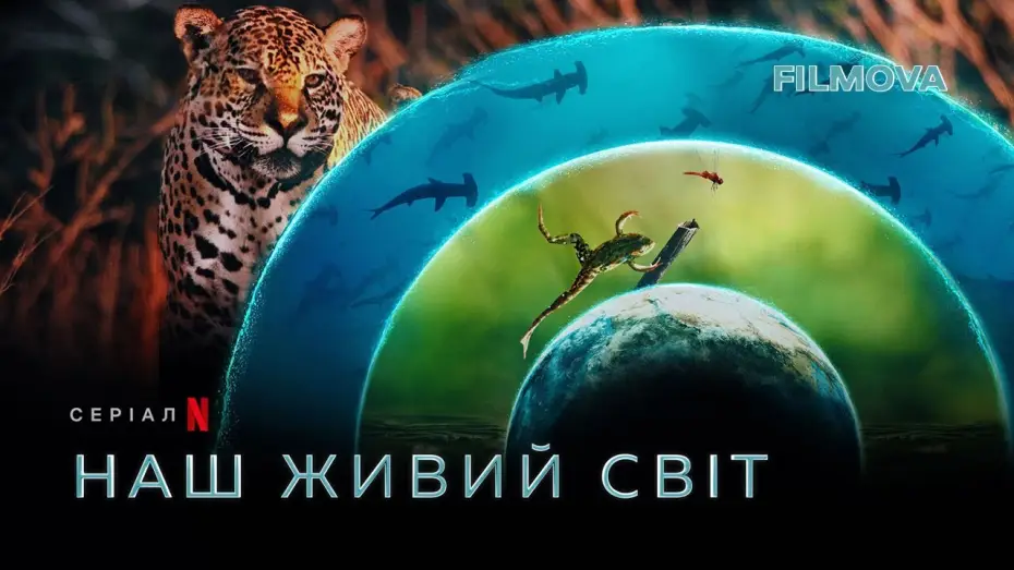 Видео к сериалу Наш живой мир — Наш живий світ | Кейт Бланшетт | Український дубльований трейлер | Netflix