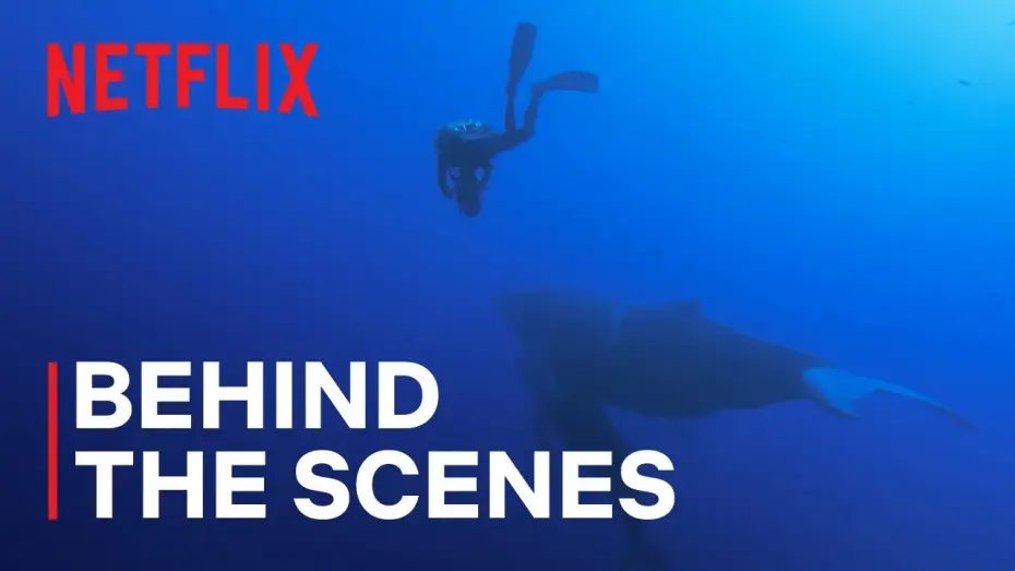 Видео к сериалу Наши океаны — Filming Magnificent Humpback Whales
