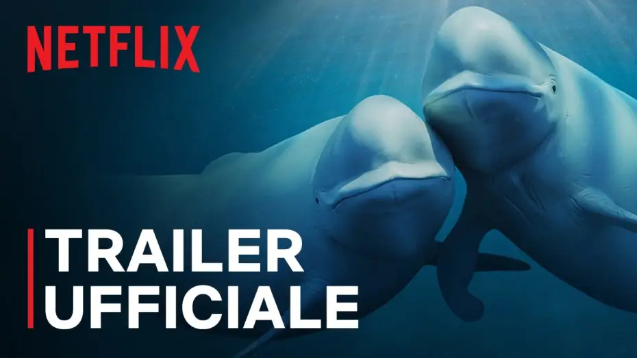 Видео к сериалу Наши океаны — Trailer ufficiale [Sottotitolato]