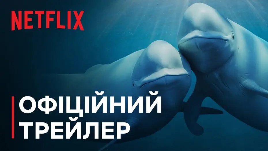 Видео к сериалу Наши океаны — Офіційний трейлер [Субтитри]