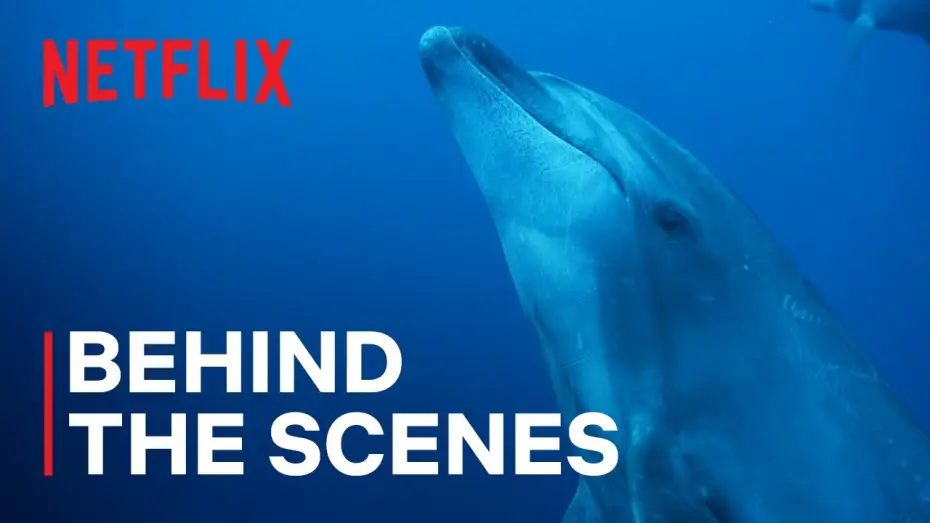 Видео к сериалу Наши океаны — Dolphin Pirates