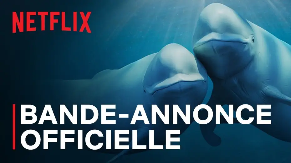 Видео к сериалу Наши океаны — Bande-annonce officielle [VOSTFR]