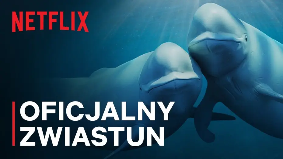 Видео к сериалу Наши океаны — Oficjalny zwiastun [Napisy]