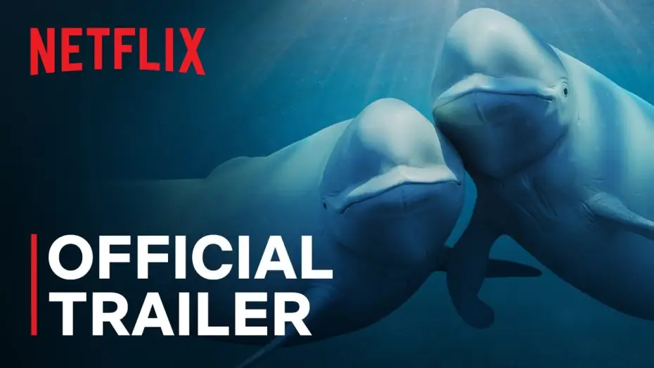 Видео к сериалу Наши океаны — Official Trailer