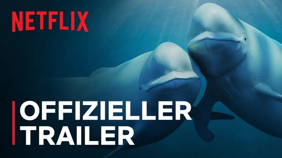 Видео к сериалу Наши океаны — Offizieller Trailer [OmU]