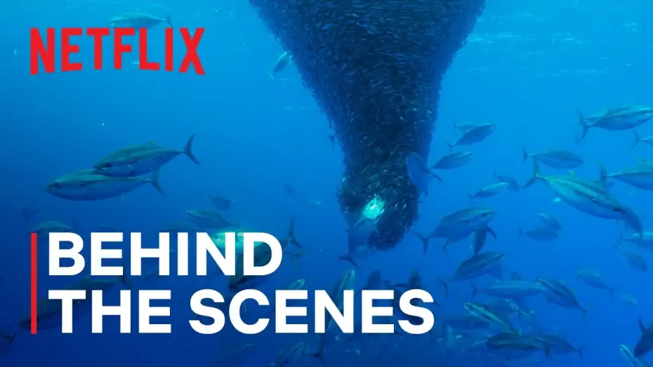 Видео к сериалу Наши океаны — Fishnado!
