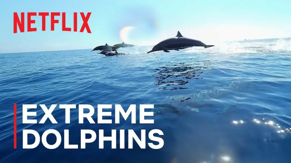 Видео к сериалу Наши океаны — Extreme Dolphins
