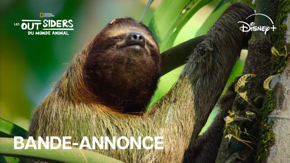 Видео к сериалу Аутсайдеры — Les outsiders du monde animal - Bande-annonce officielle [VF]