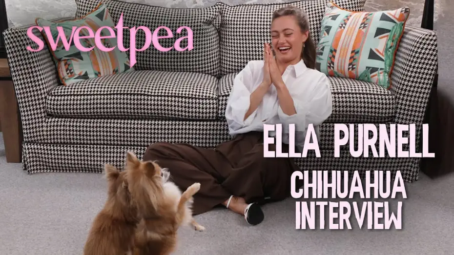 Видео к сериалу Дорогуша — Ella Purnell's CHAOTIC interview with Chihuahuas