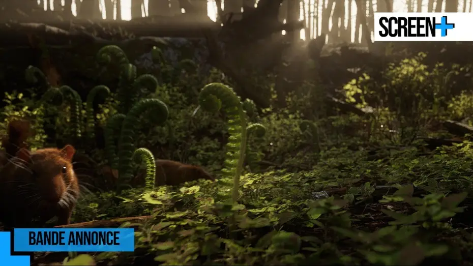 Видео к сериалу Земля — Les 5 vies de la Terre sur France 5