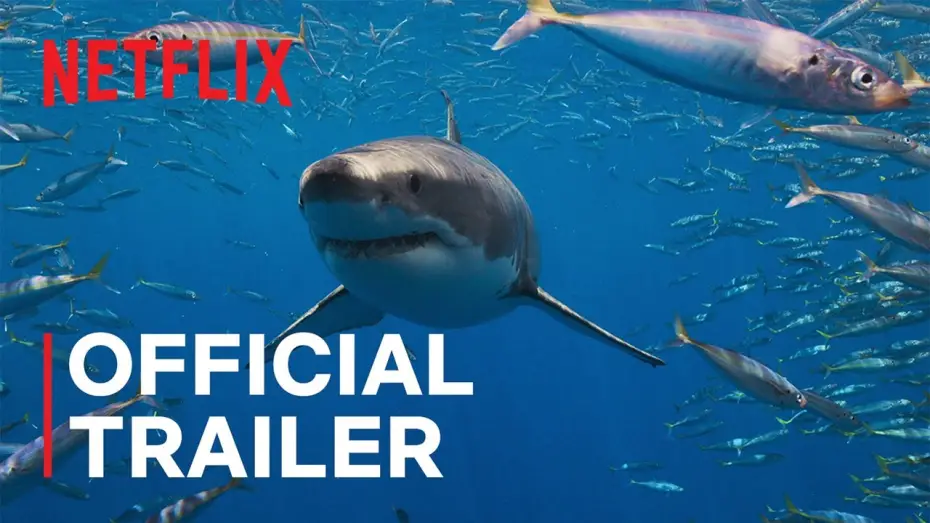 Видео к сериалу Все акулы — Official Trailer