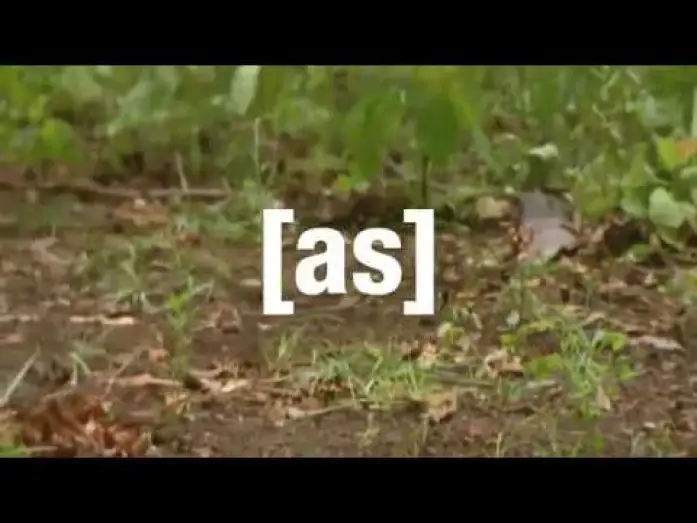 Видео к сериалу Off the Air — Adult Swim Promos - Off The Air