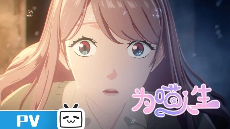 Видео к сериалу 为喵人生 — 《为喵人生》 定档PV上线 | Made By Bilibili