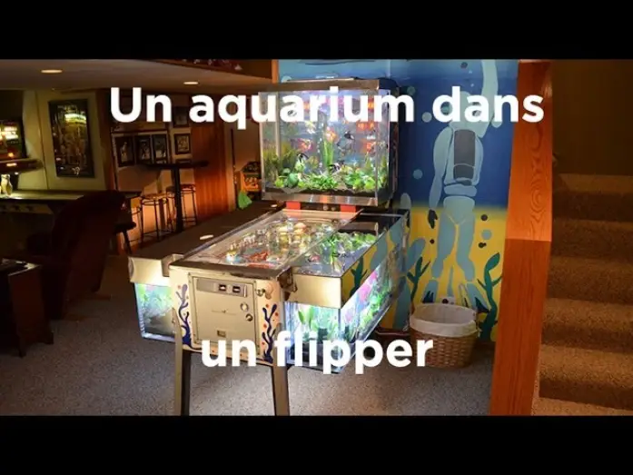 Видео к сериалу Аквариумный бизнес — Un aquarium dans un flipper : Aquamen