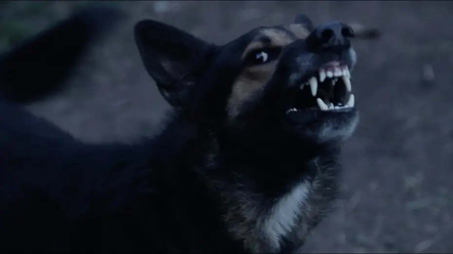 Видео к сериалу Бойся своего соседа — FEAR THY NEIGHBOR 4x05 – "Pack Mentality" – Teaser